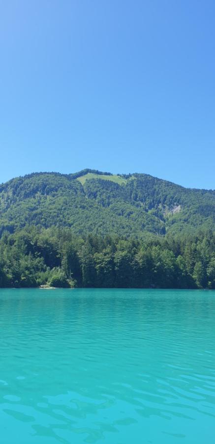 Ferienwohnung Am Fuschlsee 푸슐암시 외부 사진